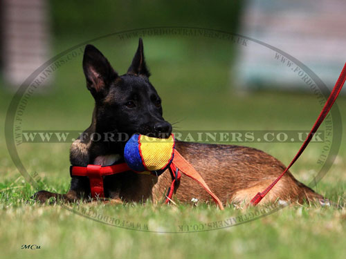 Small Stuffed Dog Toy for Puppies